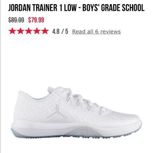 Jordan trainer 1 low